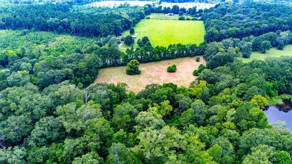 39.9 acres in Texas County - photo 24