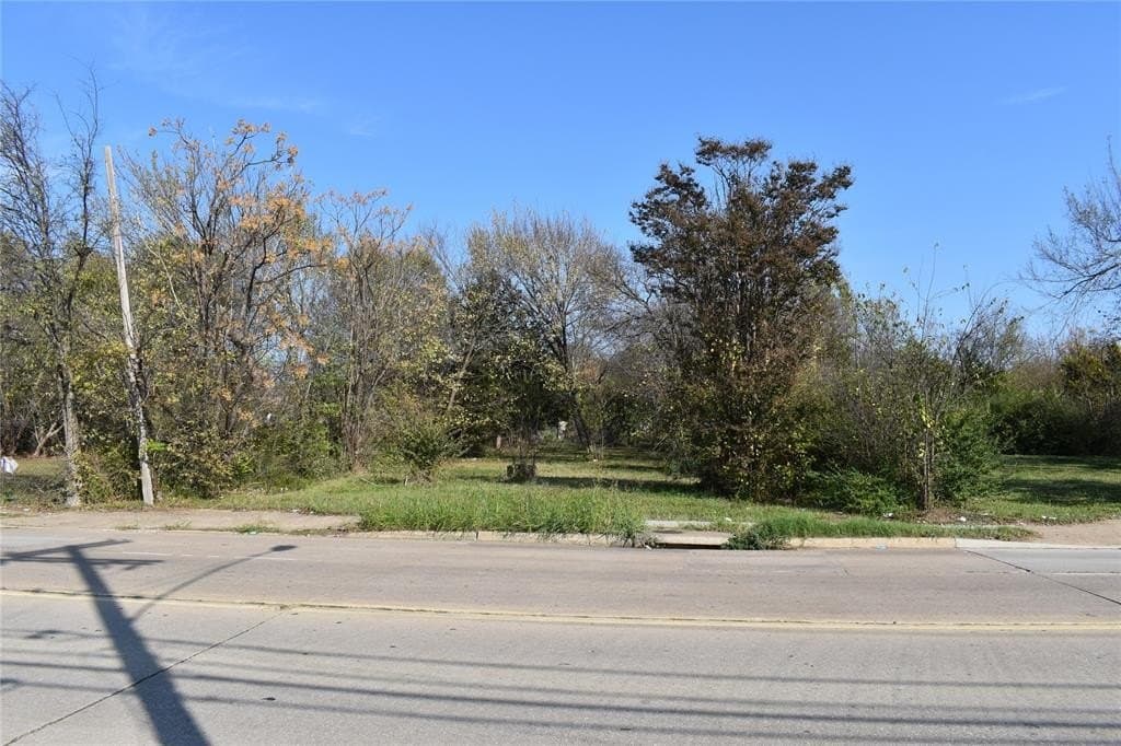 0.22 acres in Dallas County - photo 3