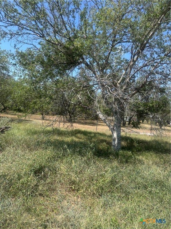 5.7 acres in Wilson County - photo 3