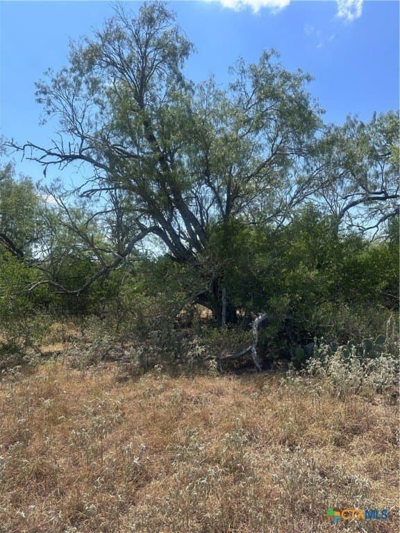 5.7 acres in Wilson County - photo 2