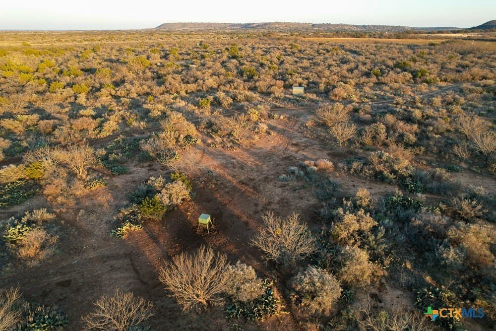 93 acres in McCulloch County - photo 4
