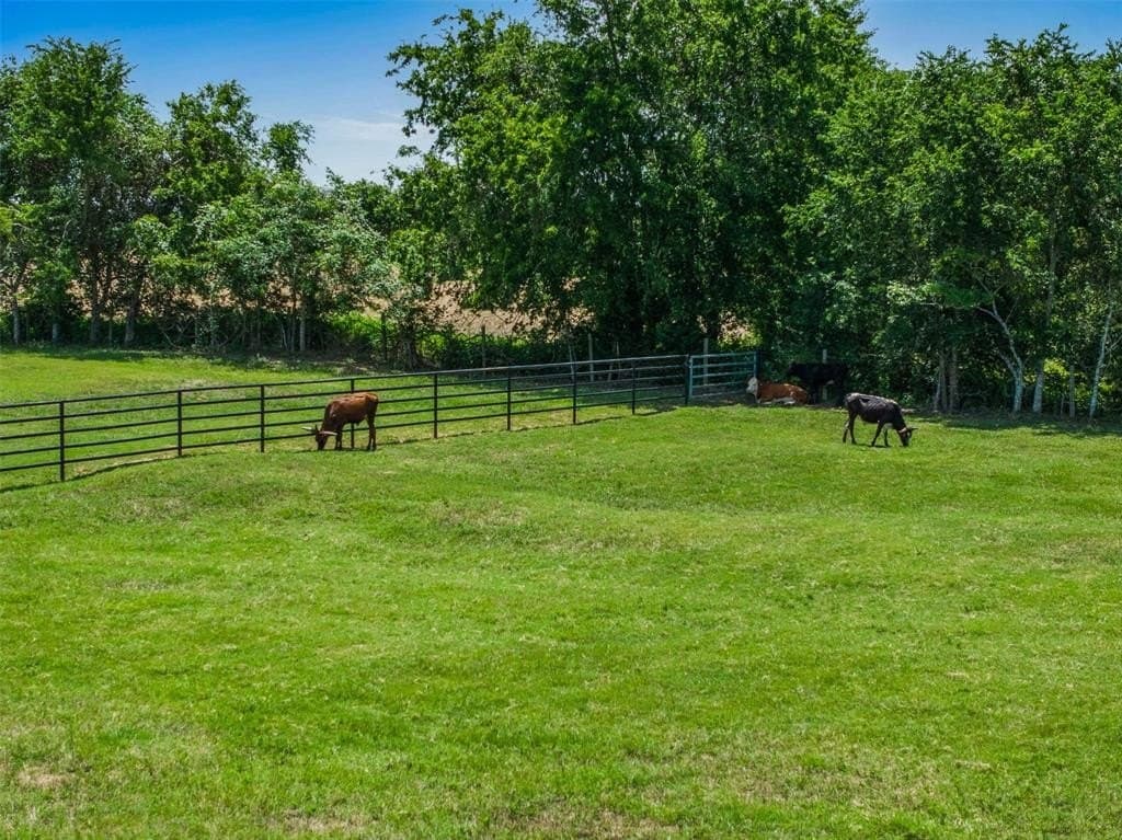 59.44 acres in Colorado County - photo 12