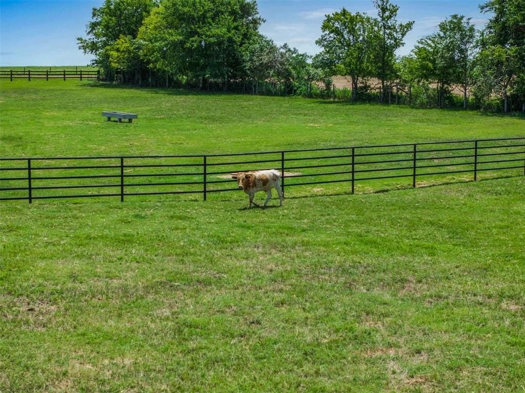 59.44 acres in Colorado County - photo 11