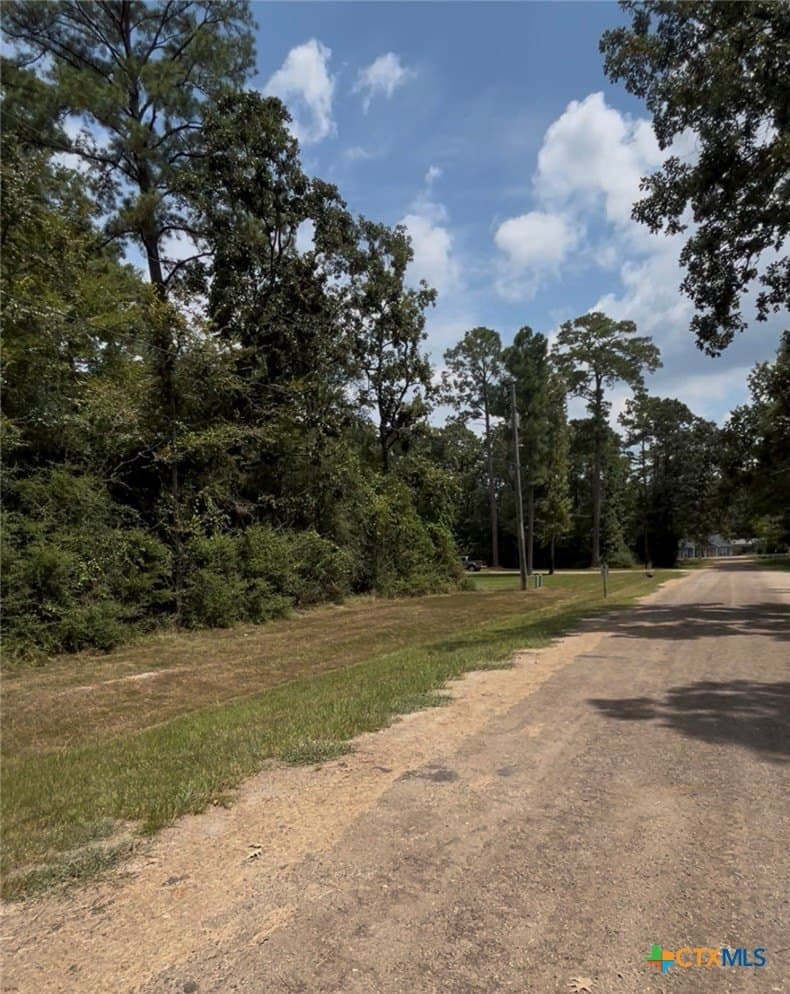 0.26 acres in Polk County - photo 9
