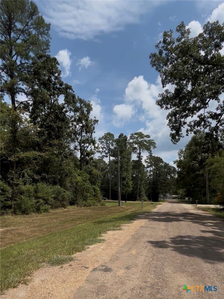 0.26 acres in Polk County - photo 11