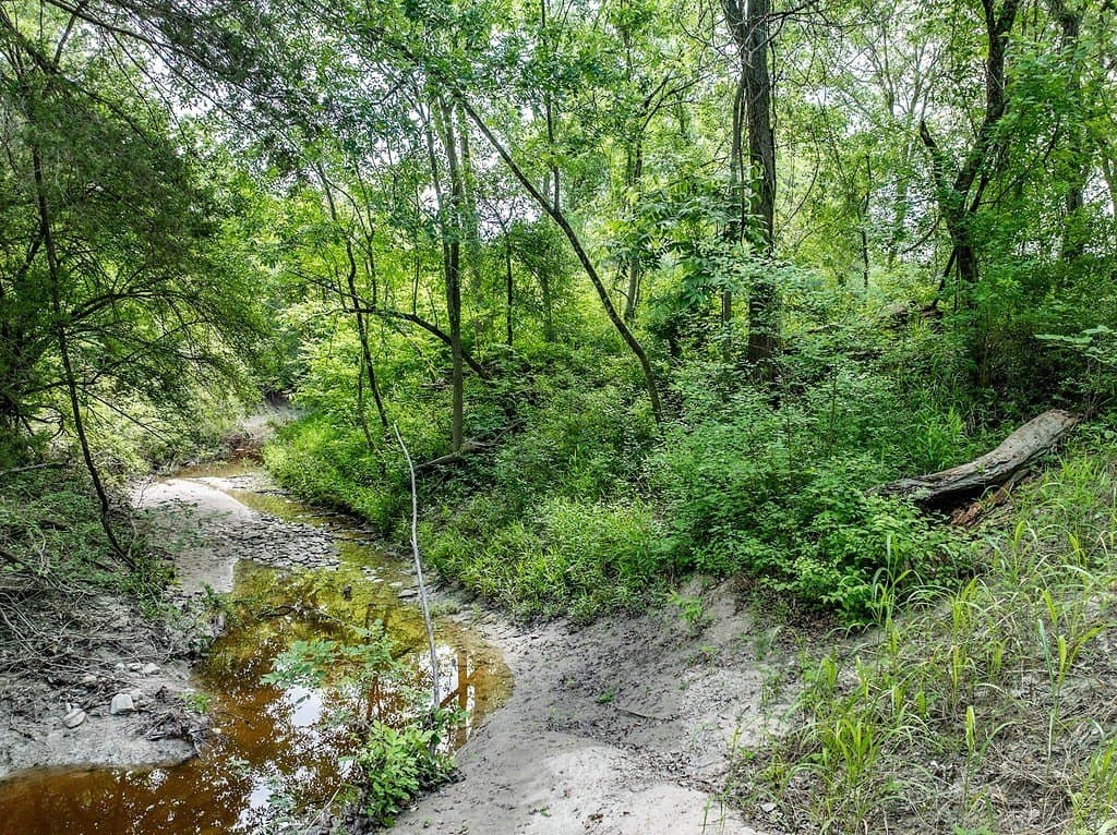 14.36 acres in Washington County - photo 12