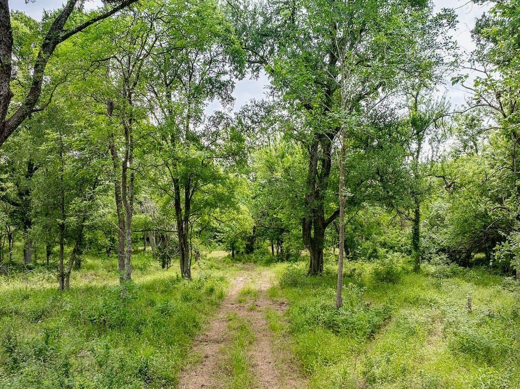 14.36 acres in Washington County - photo 8
