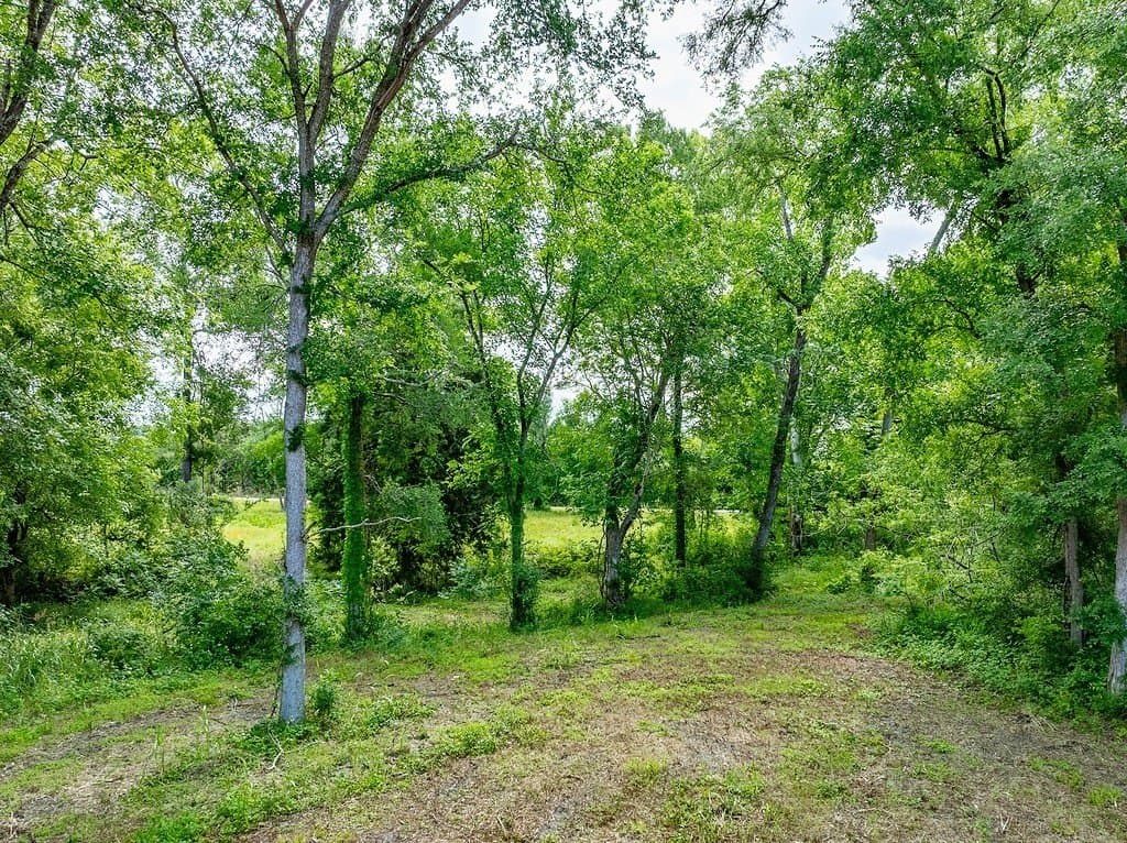 14.36 acres in Washington County - photo 13