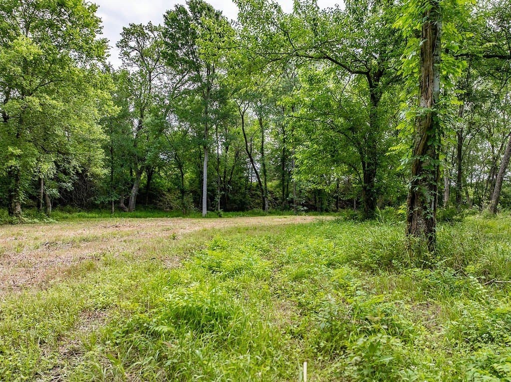 14.36 acres in Washington County - photo 11