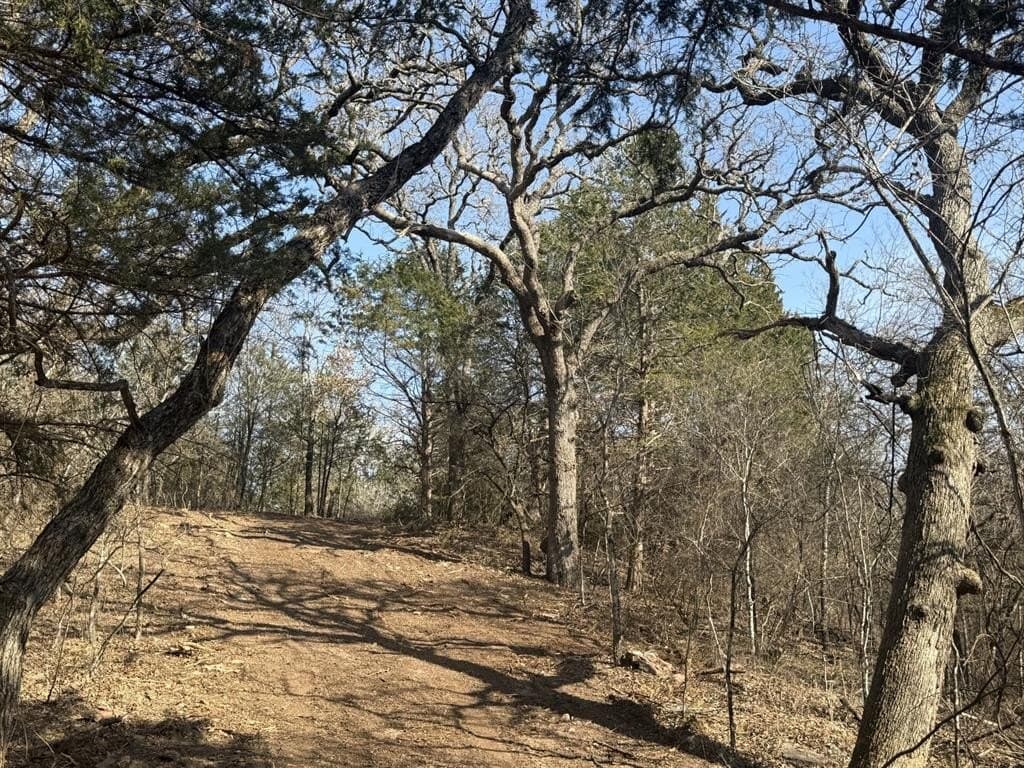 30 acres in Montague County - photo 3