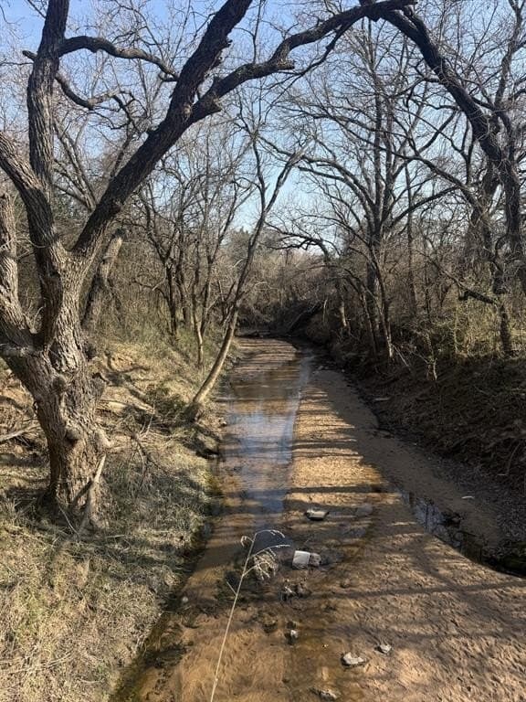 30 acres in Montague County - photo 6