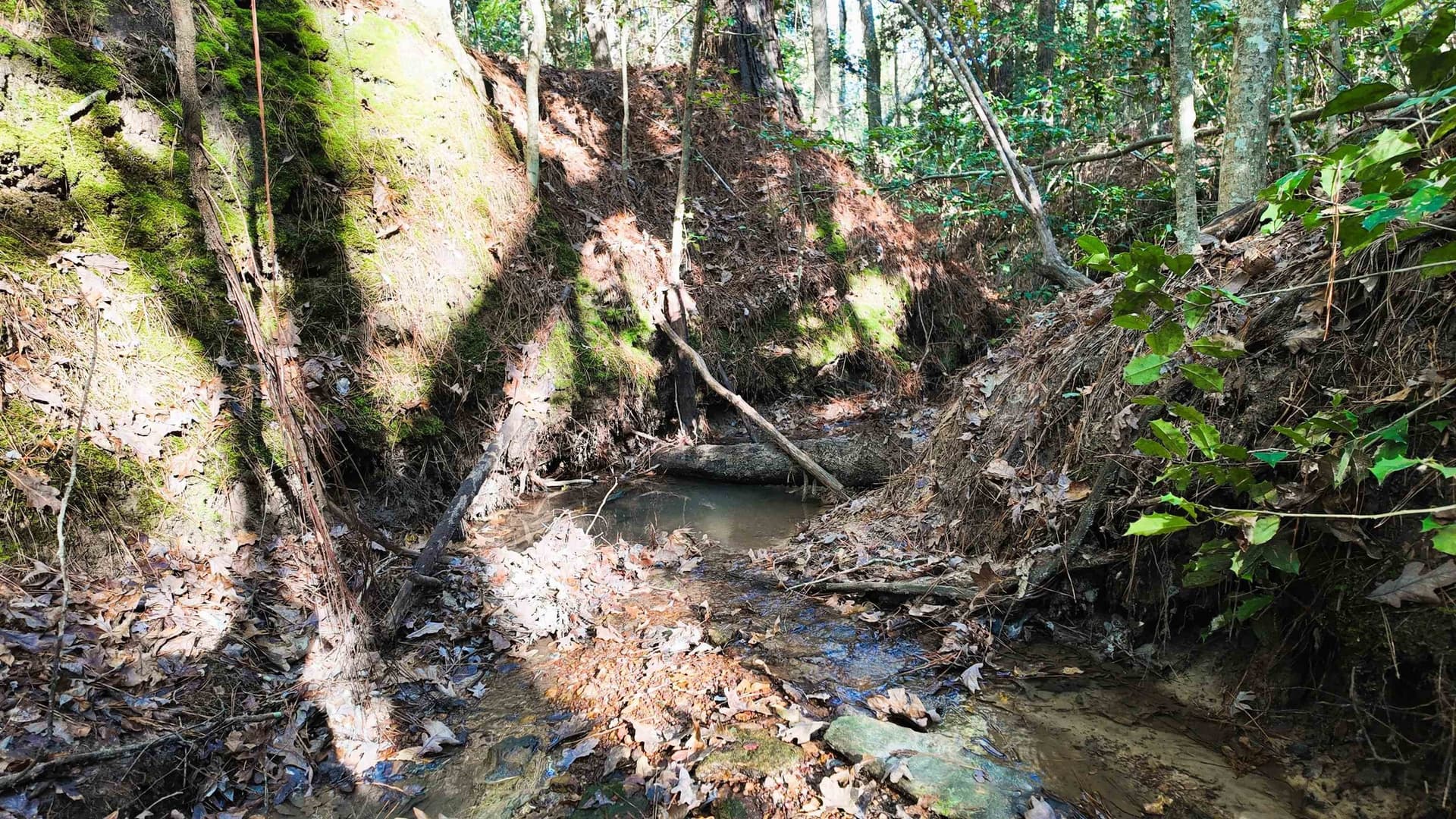 33.31 acres in Texas County - photo 20