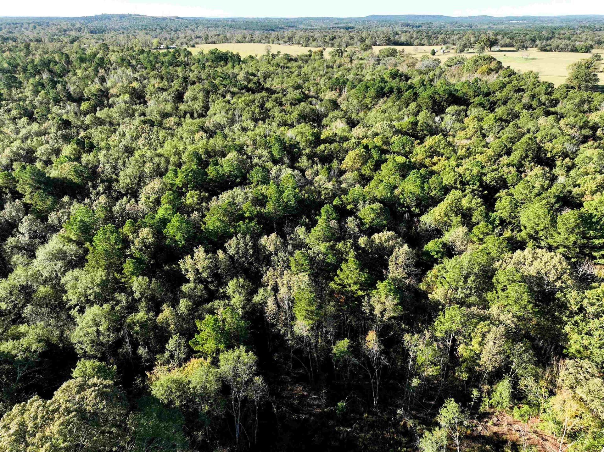 33.31 acres in Texas County - photo 11