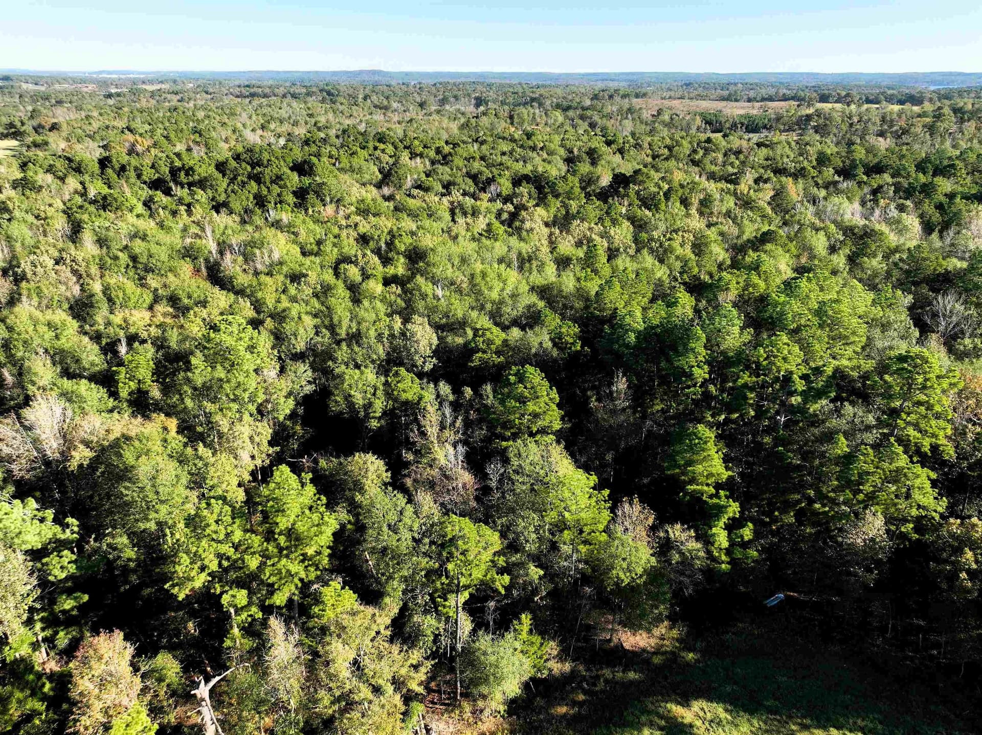 33.31 acres in Texas County - photo 9