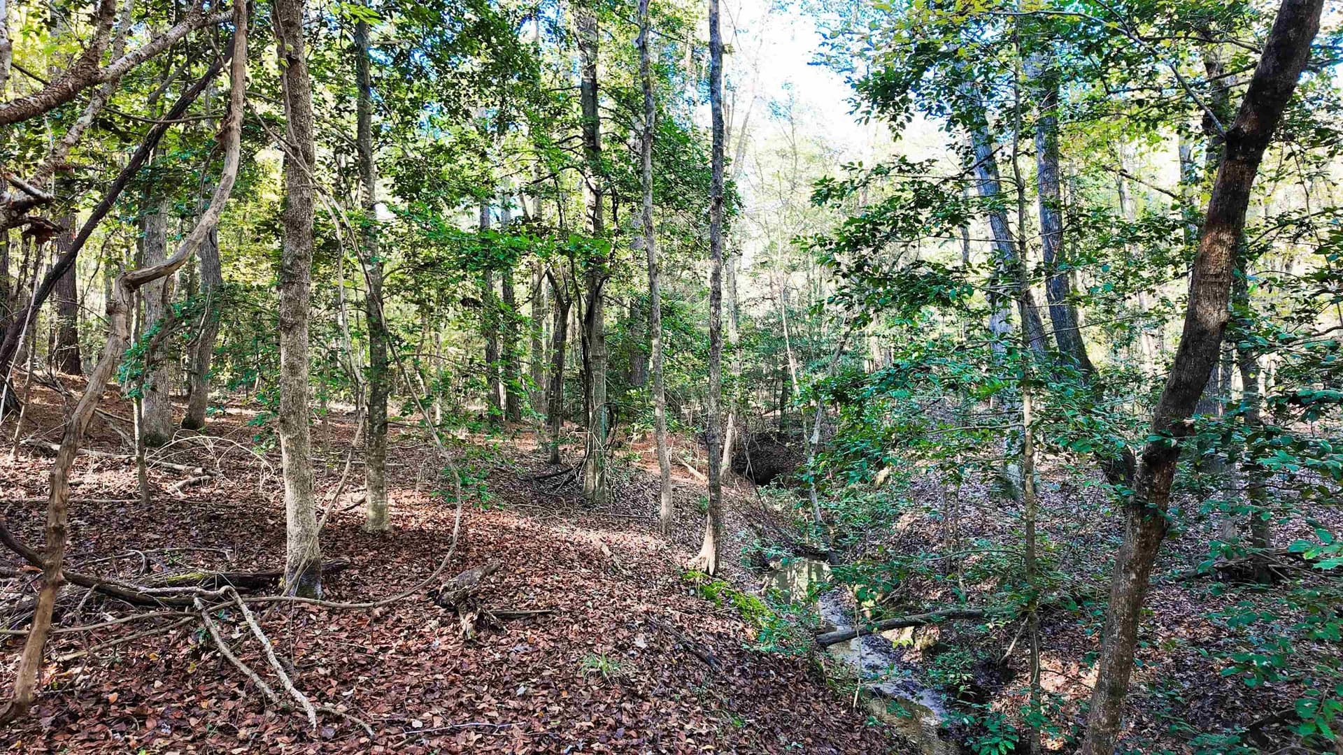33.31 acres in Texas County - photo 16