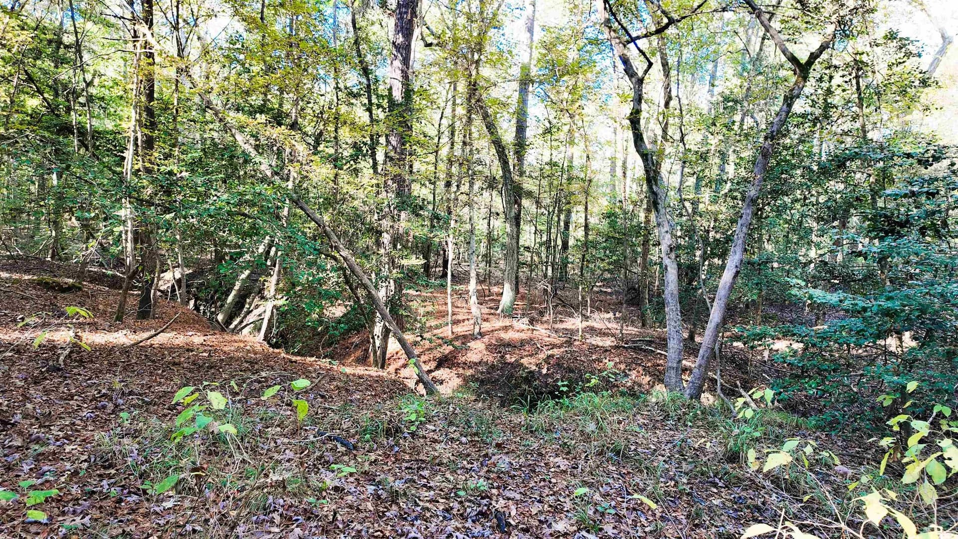 33.31 acres in Texas County - photo 17