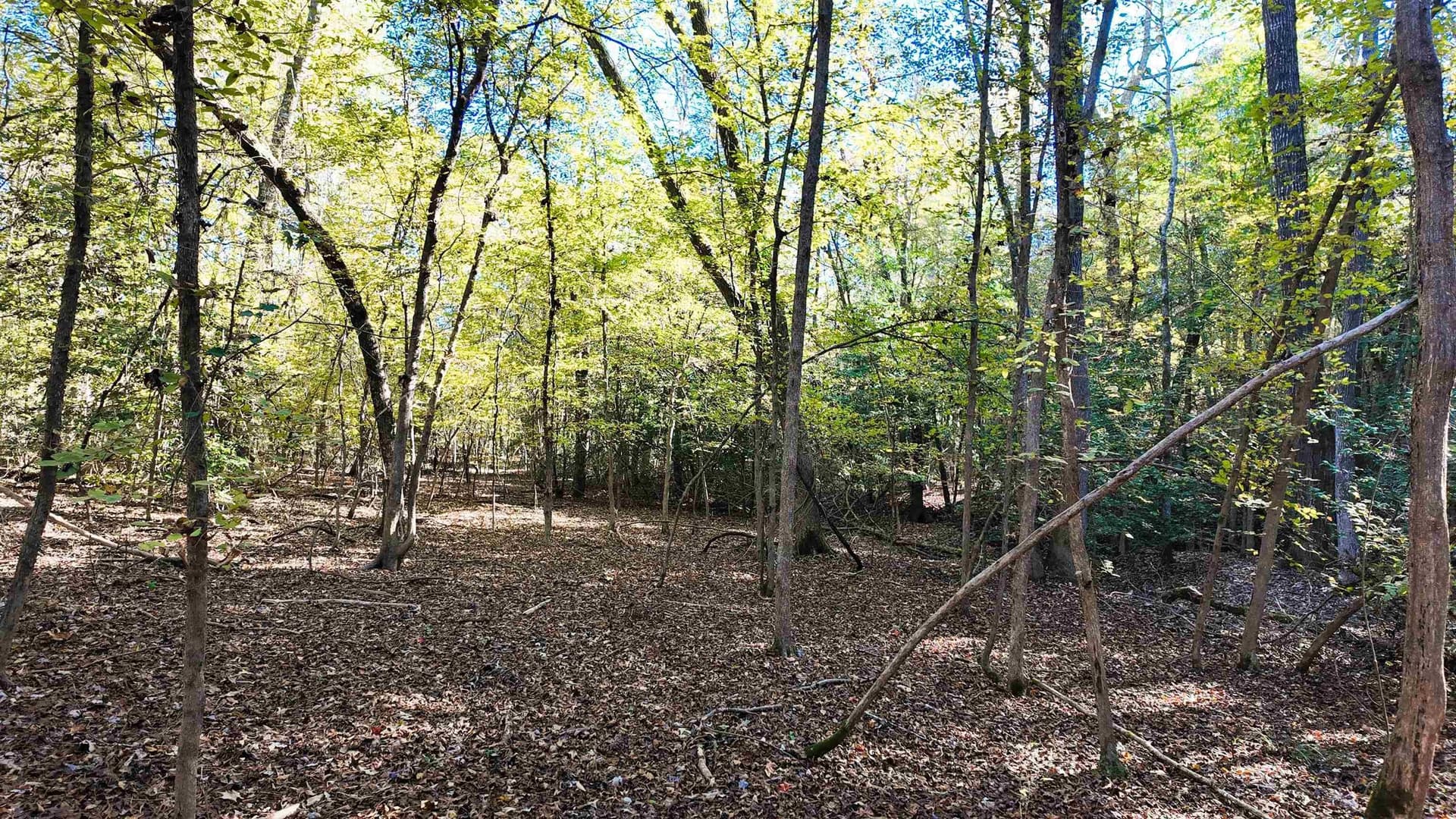 33.31 acres in Texas County - photo 28