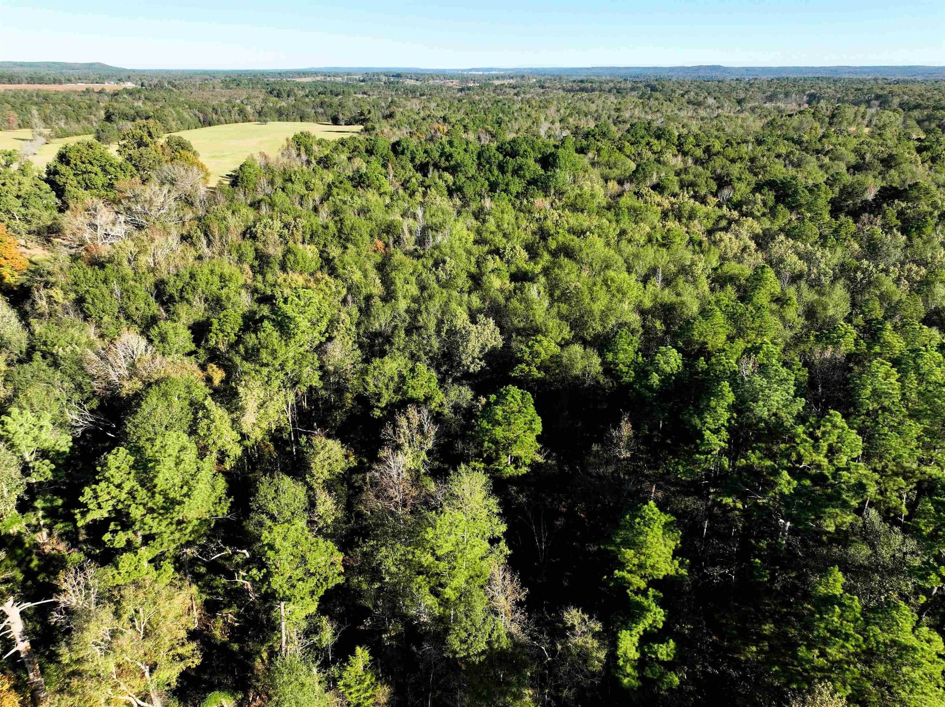 33.31 acres in Texas County - photo 10
