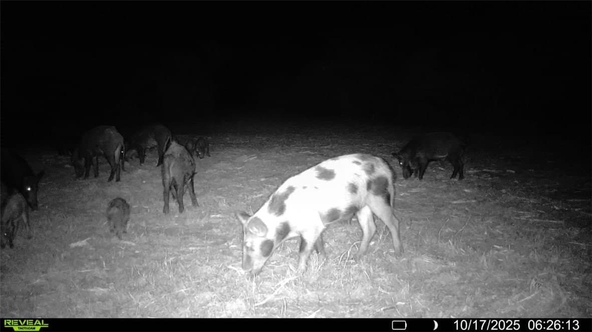 11 acres in Karnes County - photo 8