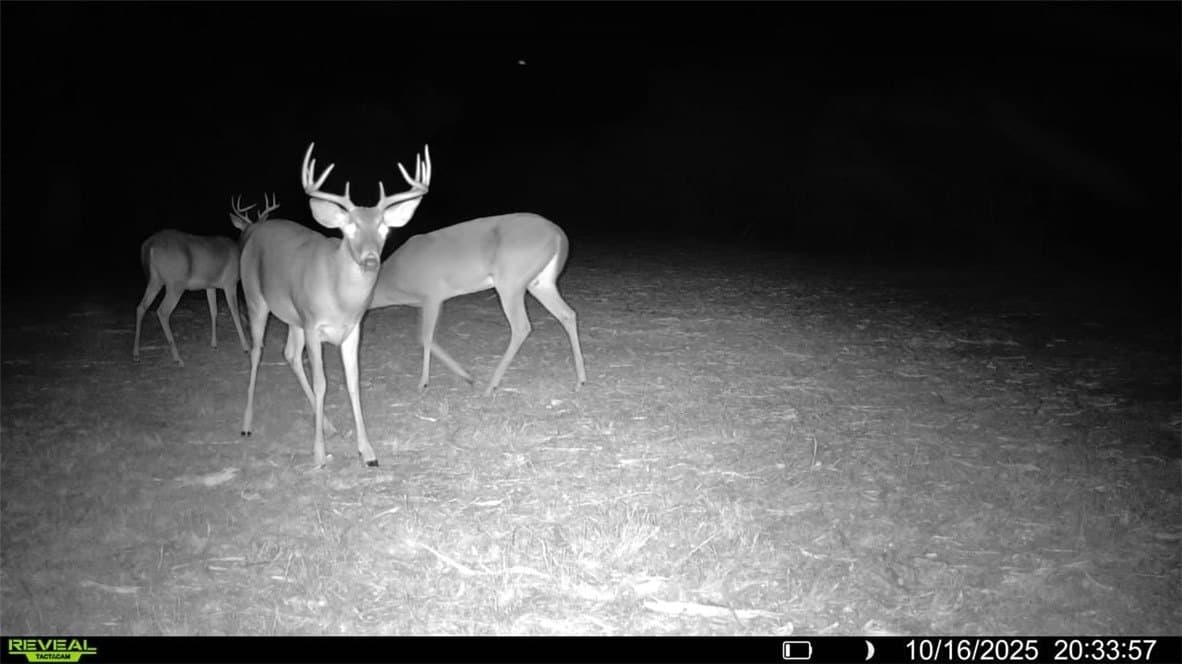 11 acres in Karnes County - photo 2