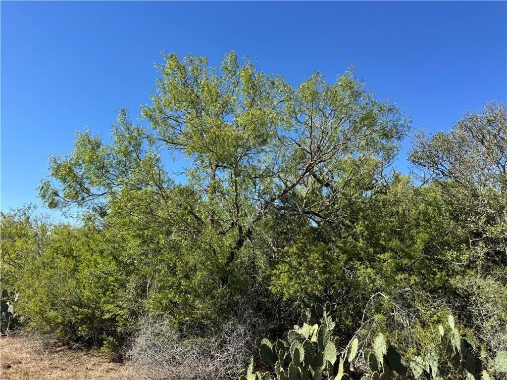 11 acres in Karnes County - photo 11