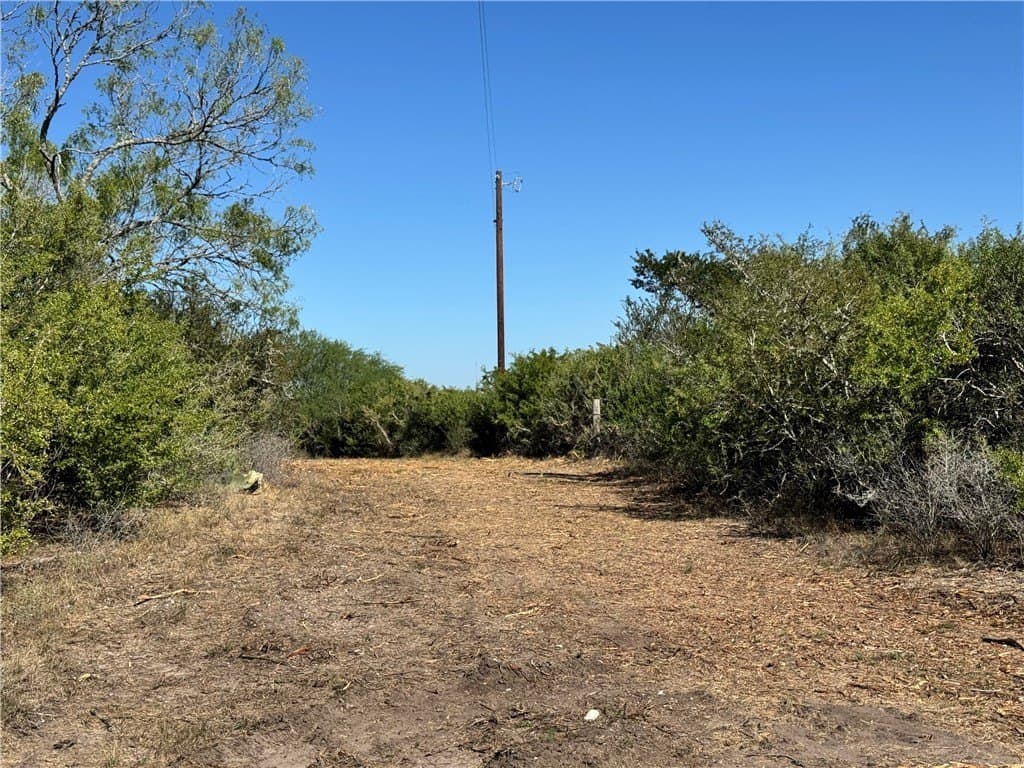 11 acres in Karnes County - photo 19