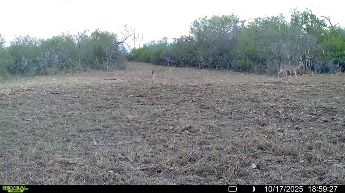 11 acres in Karnes County - photo 33