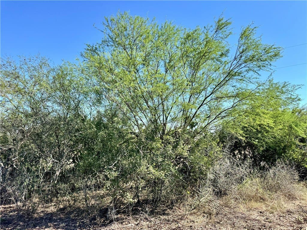 11 acres in Karnes County - photo 26