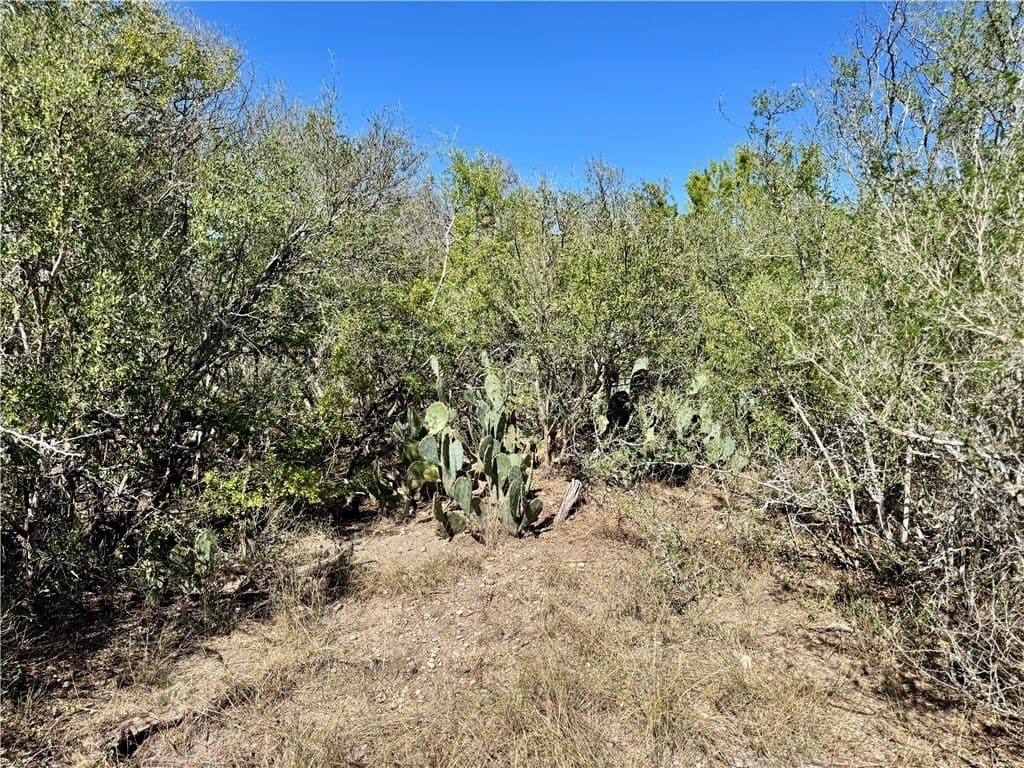 11 acres in Karnes County - photo 9