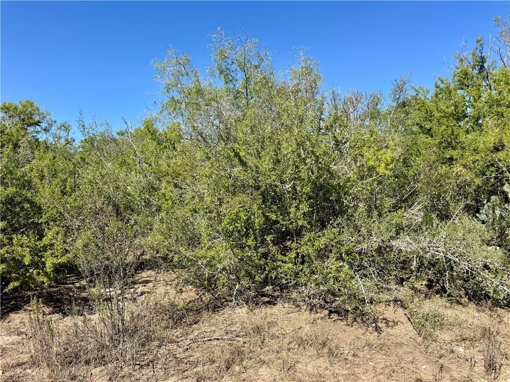 11 acres in Karnes County - photo 15