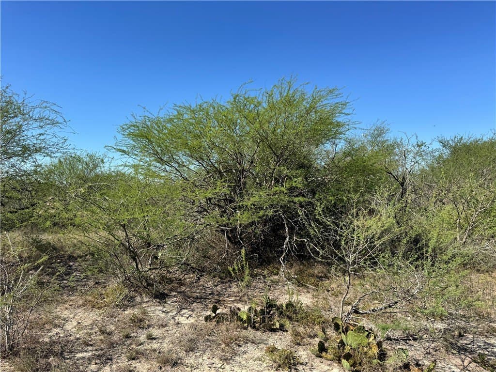 11 acres in Karnes County - photo 40