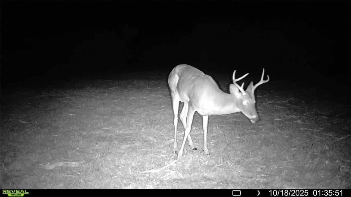 11 acres in Karnes County - photo 18