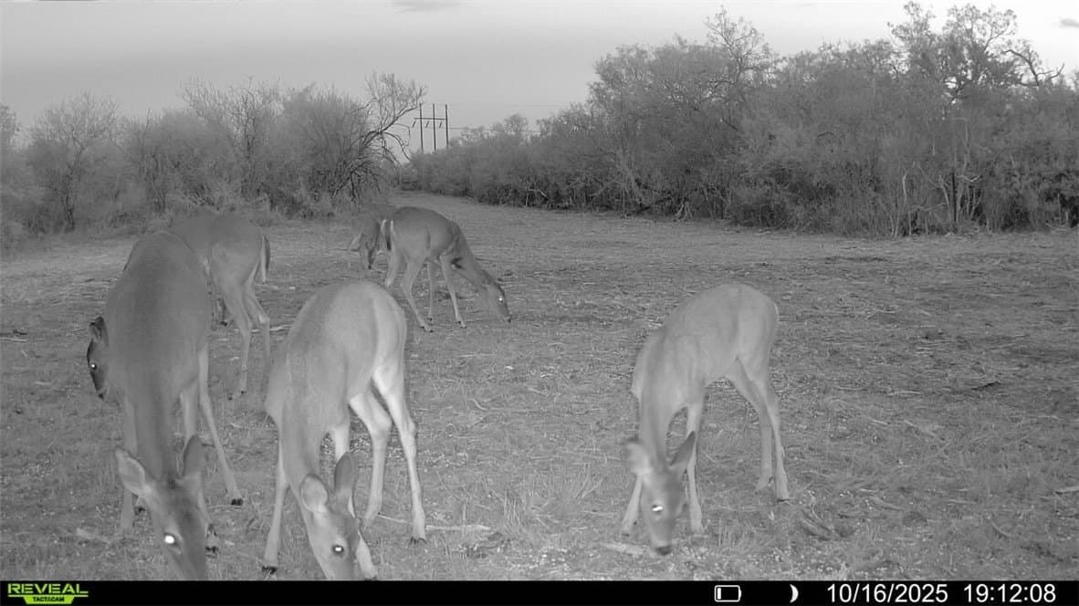 11 acres in Karnes County - photo 35