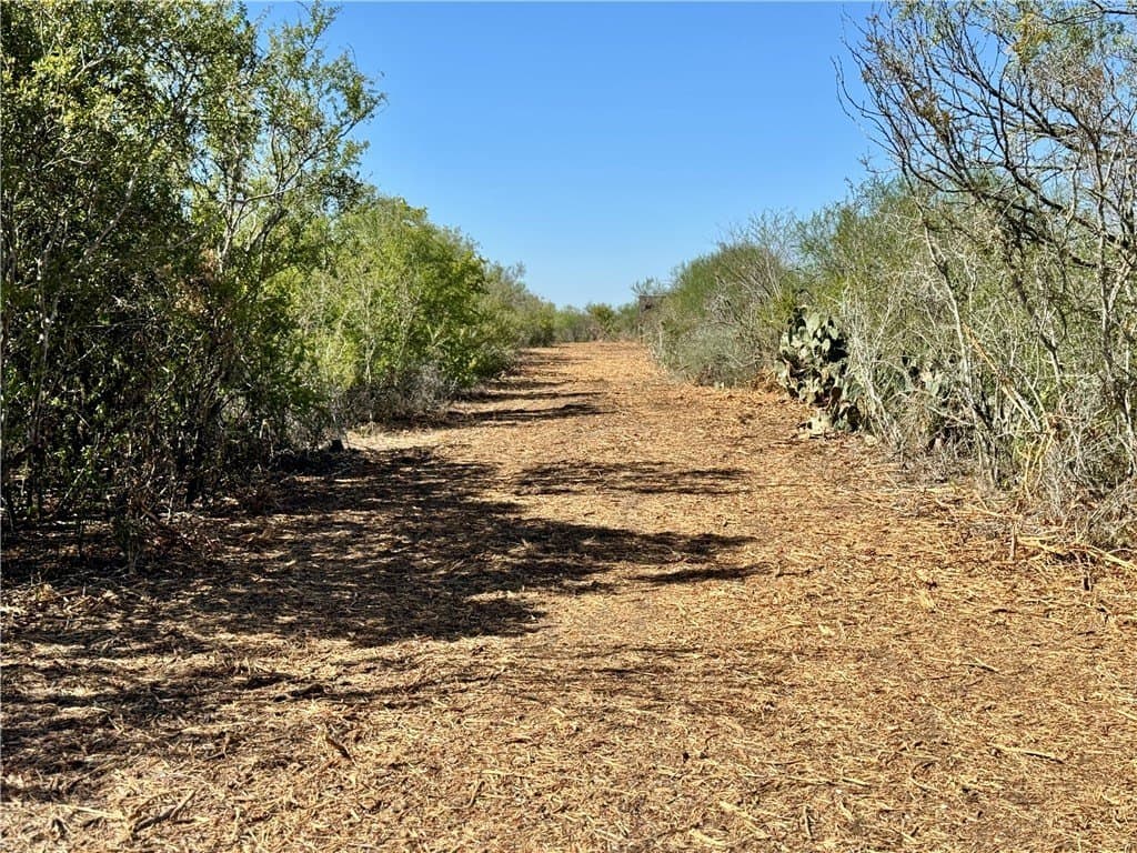 CR 107