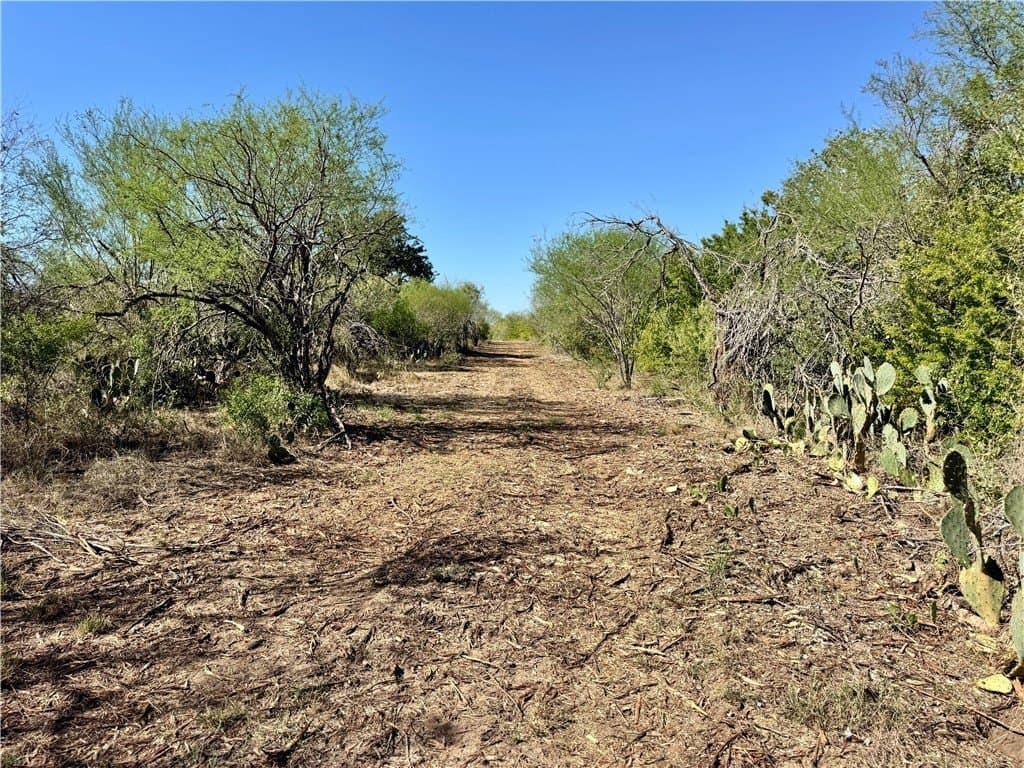 11 acres in Karnes County - photo 21