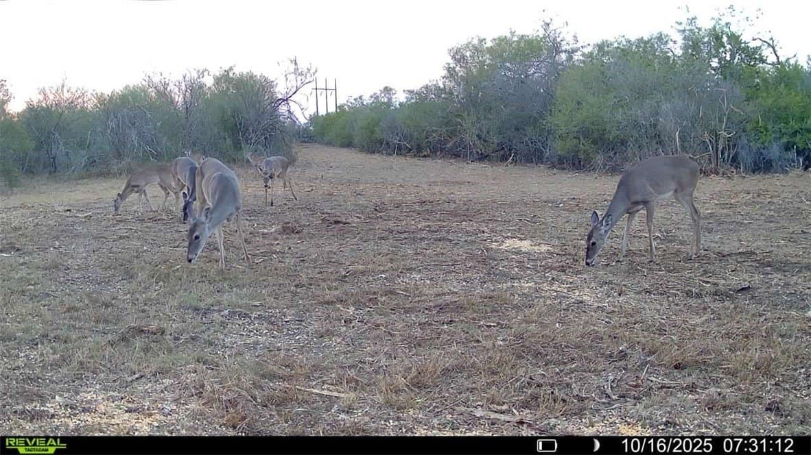 11 acres in Karnes County - photo 29