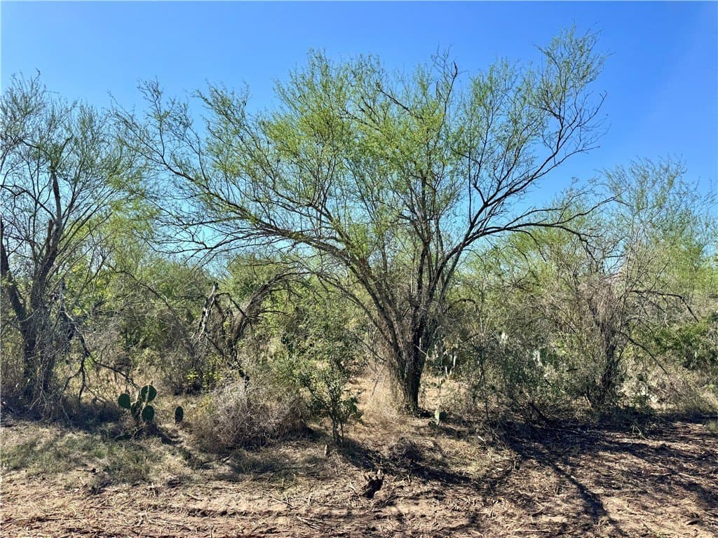 11 acres in Karnes County - photo 22