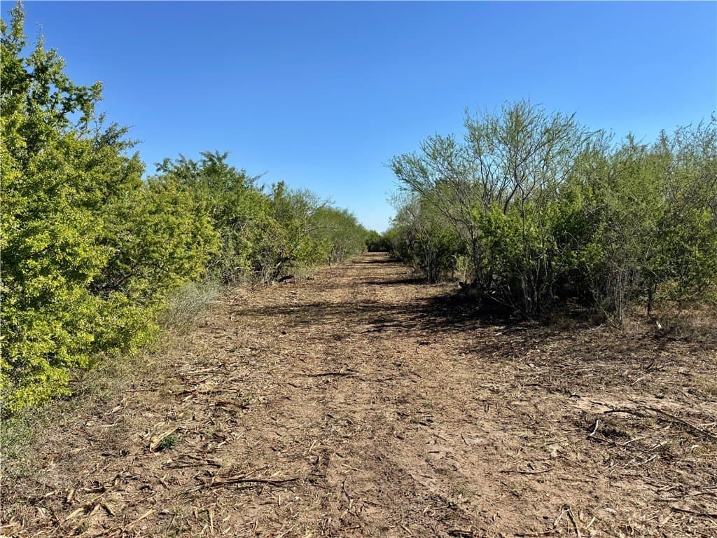 11 acres in Karnes County - photo 34