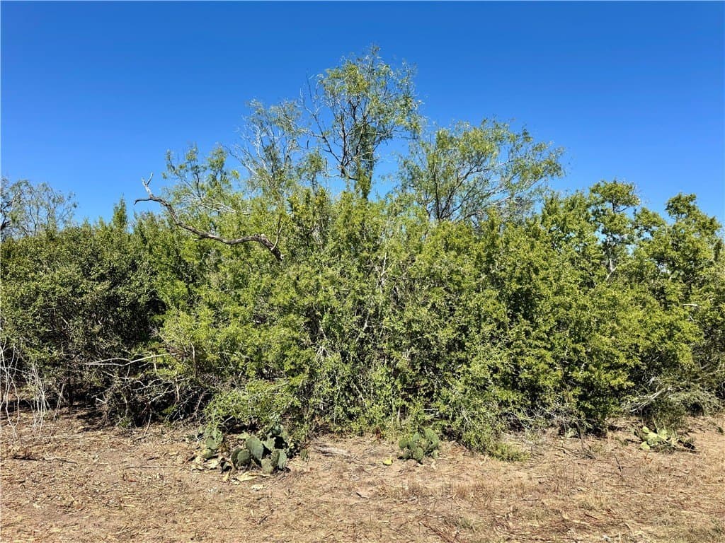 11 acres in Karnes County - photo 13
