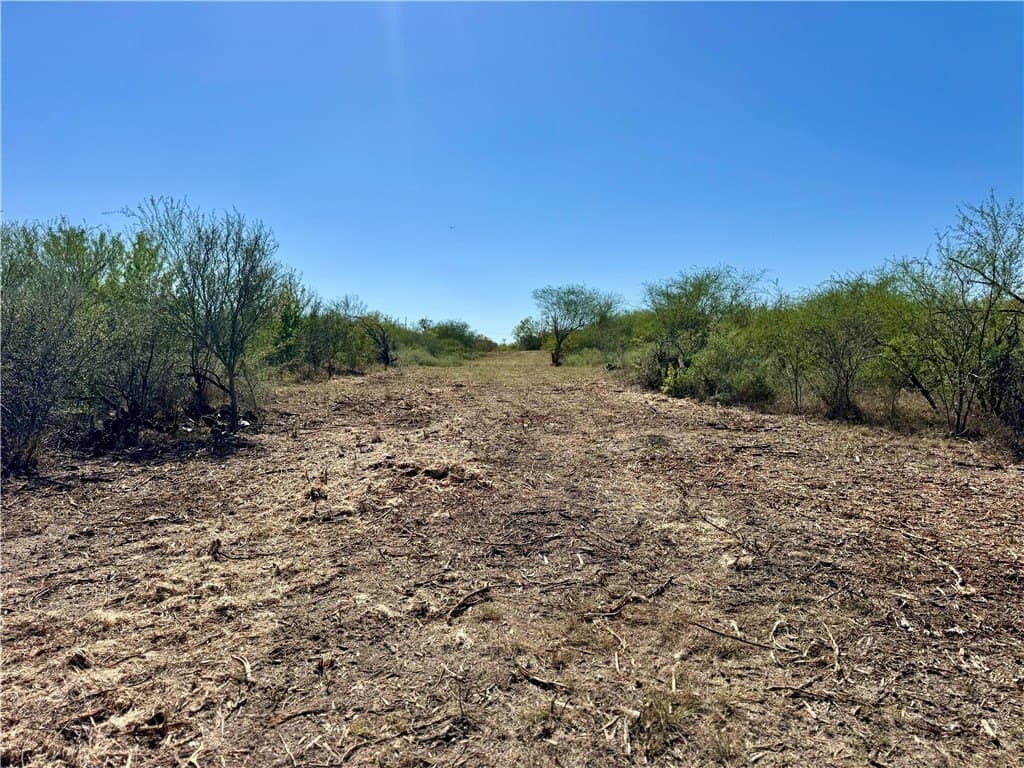 11 acres in Karnes County - photo 28