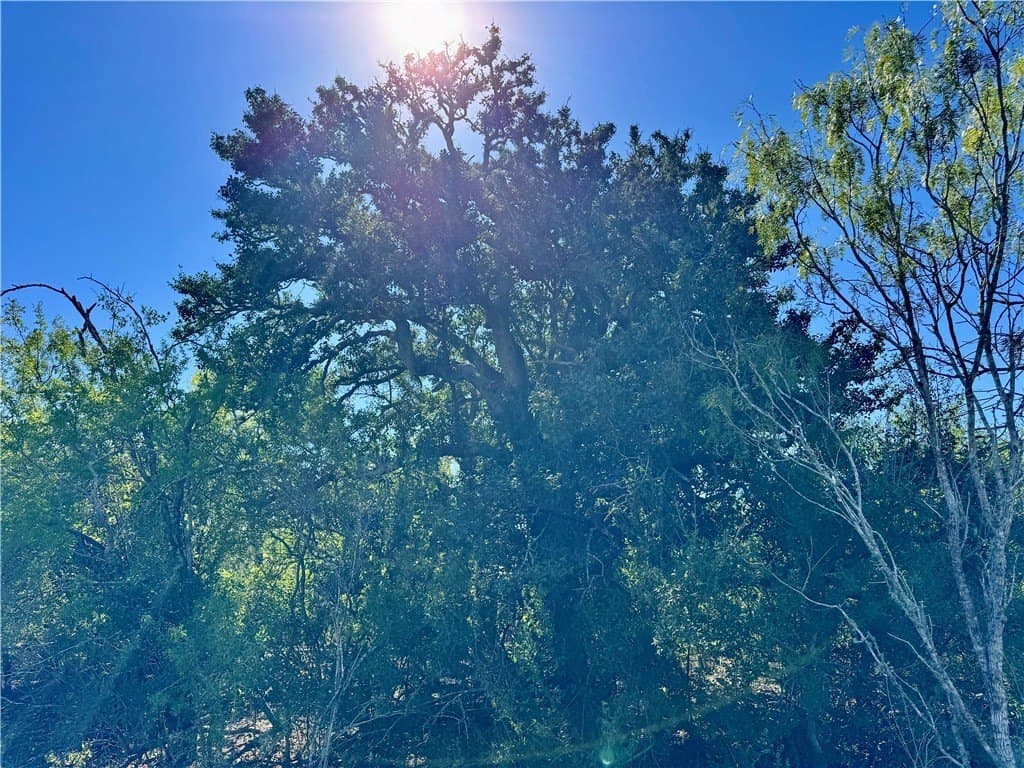 11 acres in Karnes County - photo 24