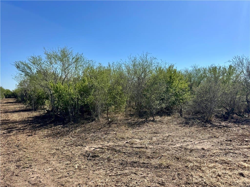 11 acres in Karnes County - photo 36