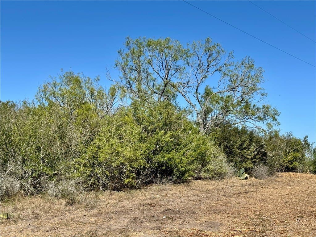 11 acres in Karnes County - photo 5