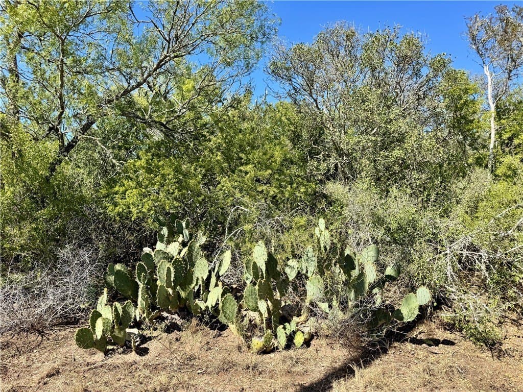 11 acres in Karnes County - photo 17