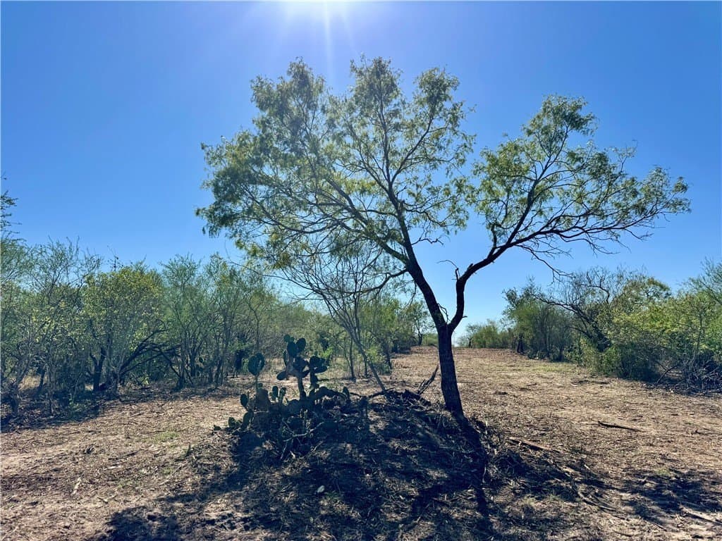 11 acres in Karnes County - photo 38