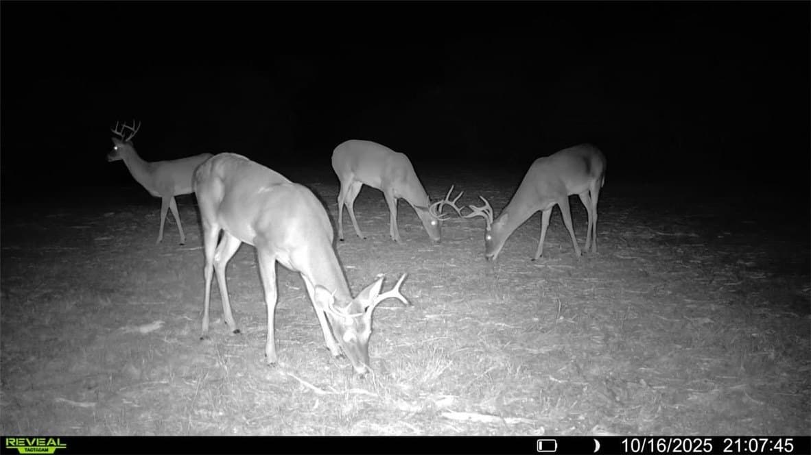 11 acres in Karnes County - photo 27