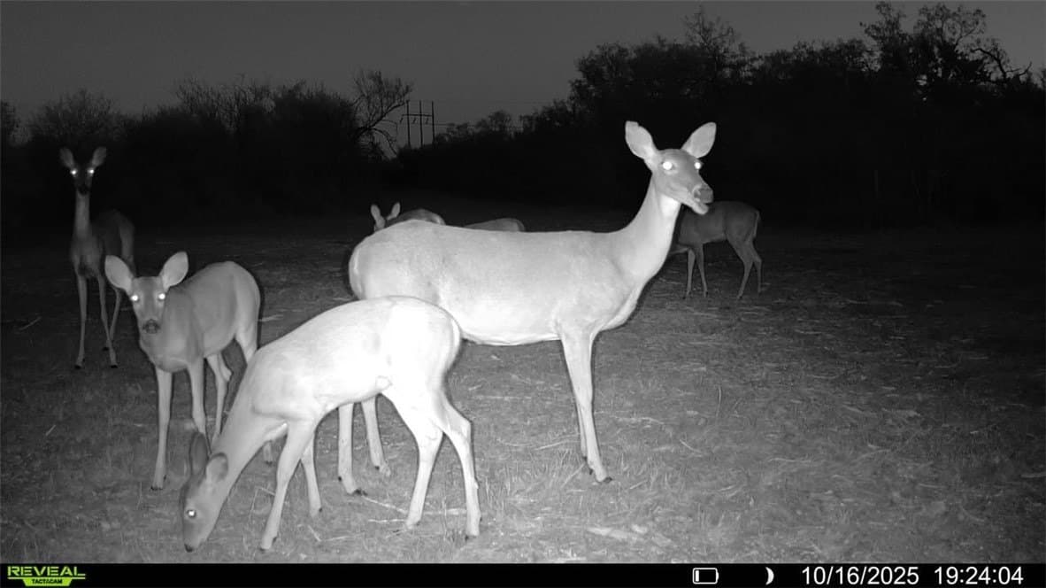 11 acres in Karnes County - photo 20