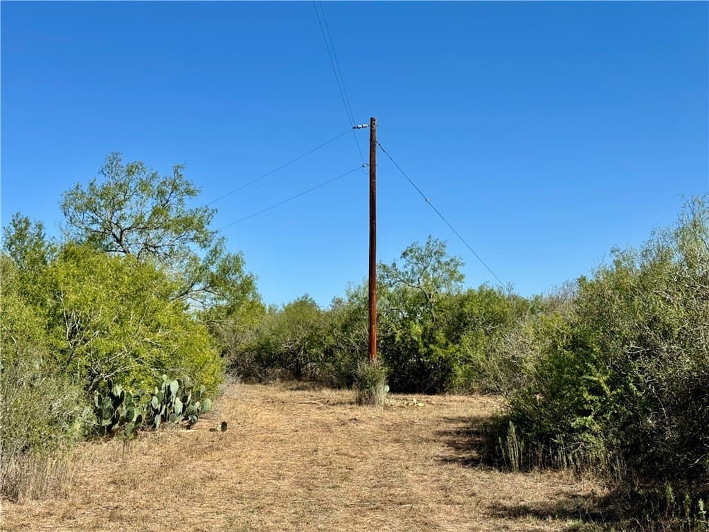 11 acres in Karnes County - photo 7