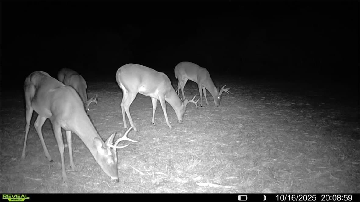 11 acres in Karnes County - photo 25