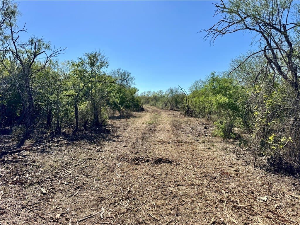 11 acres in Karnes County - photo 32